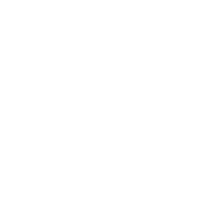 dynastar